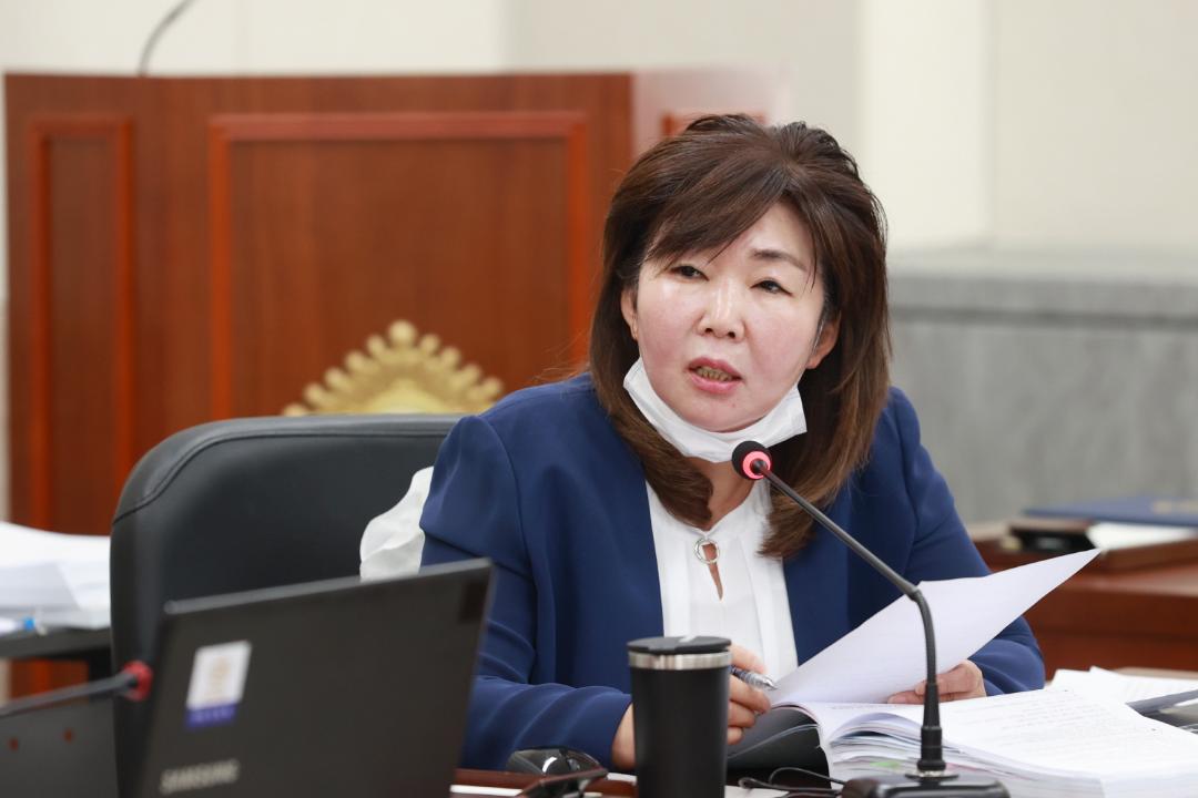 20200608 행정사무감사특별위원회 7일차 (12).JPG