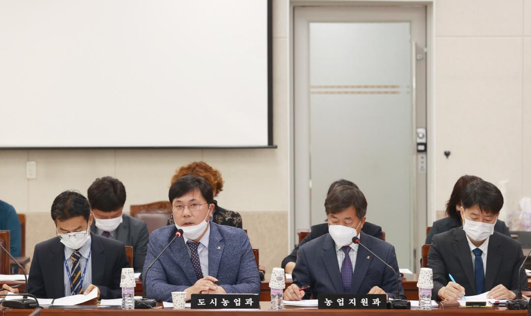 20200608 행정사무감사특별위원회 7일차 (6).JPG