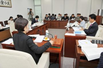 경제건설위원회 활동 - 2009년도 일반 및 기타 특별회계 세입·세출 결산 및 예비비 승인의 건 예비심사