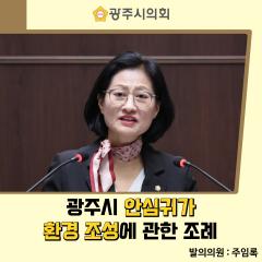 광주시 안심귀가 환경 조성에 관한 조례